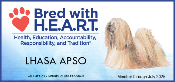 Bred With Heart - Lhasa